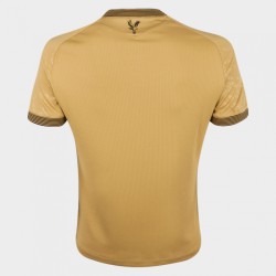 Hombre Crystal Palace 2025/26 Tercera Camiseta Águila Dorada Hombre Crystal Palace 2025/26 Tercera Camiseta Águila Dorada