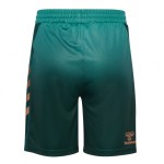 Pantalones Cortos Terceros Werder Bremen 2025/26 Mujer