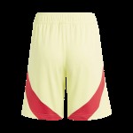 España Pantalones Cortos de Visita EURO 2024