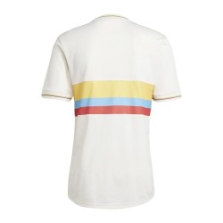Camiseta centenario 2024 de Colombia para hombre Camiseta centenario 2024 de Colombia para hombre