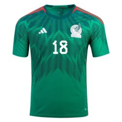 Andres Guardado #18 México Camiseta de Local Mundial 2022 Andres Guardado #18 México Camiseta de Local Mundial 2022