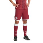 Pantalón Corto de la Copa Mundial 2026 de Catar Primera Equipación para Niño Pantalón Corto de la Copa Mundial 2026 de Catar Primera Equipación para Niño
