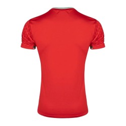 Camiseta de la Copa Mundial 2026 de Irán Segunda Equipación para Hombre