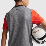 Niño Chelsea 2025/26 Tercera Camiseta Pre-Partido Gris