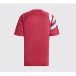 Camiseta pre partido tercera Hombre Servette FC 2024/25 Camiseta pre partido tercera Hombre Servette FC 2024/25
