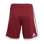 Pantalón Corto de la Copa Mundial 2026 de Catar Primera Equipación para Niño Pantalón Corto de la Copa Mundial 2026 de Catar Primera Equipación para Niño