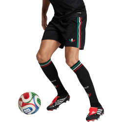 Pantalones Cortos Mundial Tercera México 2026 para Niño