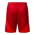Pantalones cortos de casa para hombre Fortuna Düsseldorf 2024/25 Pantalones cortos de casa para hombre Fortuna Düsseldorf 2024/25