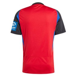 Camiseta tercera Hamburger SV 2024/25 para hombre