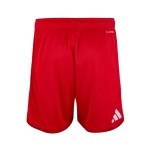 Pantalones cortos Local Alternativos Nottingham Forest 2026/27 Niño Pantalones cortos Local Alternativos Nottingham Forest 2026/27 Niño