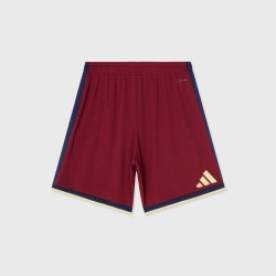 Niños Djurgårdens IF pantalones cortos visitante 2026