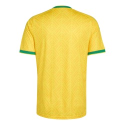 Camiseta de la Copa Mundial 2026 de Sudáfrica Primera Equipación para Mujer