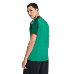 Camiseta de la Copa Mundial 2026 de Argelia Segunda Equipación para Hombre Camiseta de la Copa Mundial 2026 de Argelia Segunda Equipación para Hombre