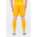 Pantalones cortos de cuarta LFP de niño FC Barcelona 2023/24 Pantalones cortos de cuarta LFP de niño FC Barcelona 2023/24