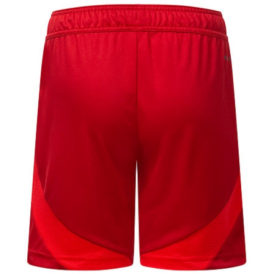 Pantalones cortos de casa para niño Fortuna Düsseldorf 2024/25 Pantalones cortos de casa para niño Fortuna Düsseldorf 2024/25