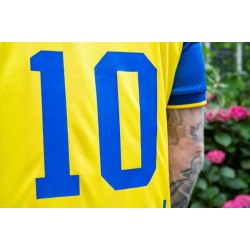 Camiseta Hombre RKC Waalwijk 2025/26 Local Camiseta Hombre RKC Waalwijk 2025/26 Local