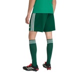 Pantalón Corto de la Copa Mundial 2026 de Argelia Segunda Equipación para Hombre Pantalón Corto de la Copa Mundial 2026 de Argelia Segunda Equipación para Hombre