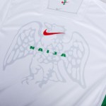 Camiseta de casa OSIMHEN Nigeria 2024/25 para hombres Camiseta de casa OSIMHEN Nigeria 2024/25 para hombres