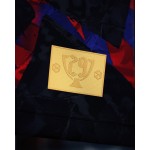Camiseta Campeones de España FC Barcelona 2026 para Niño - Negro