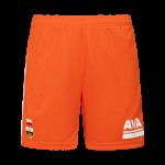 Pantalones cortos tercera hombre Willem II 2025/26