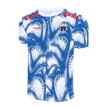Camiseta de Entrenamiento Prepartido de la Copa Mundial 2026 de Cabo Verde Tercera Equipación para Hombre Camiseta de Entrenamiento Prepartido de la Copa Mundial 2026 de Cabo Verde Tercera Equipación para Hombre