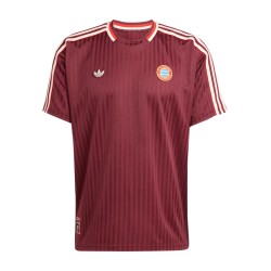 Camiseta Icono Bayern Múnich 2024/25 Hombre