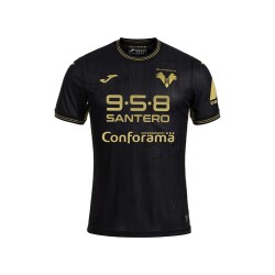 Camisa de tercera equipación para niño Hellas Verona 2024/25