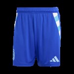 Argentina Pantalones Cortos de Visita Copa América 2024 Argentina Pantalones Cortos de Visita Copa América 2024