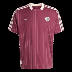 Camiseta Tercera Icons 2025/26 Ajax para Niño