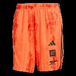 Hombre Arsenal x NTS 2025/26 Pantalones cortos Urban Purist