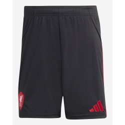 Pantalones Visitante Liverpool Hombre 2025/26