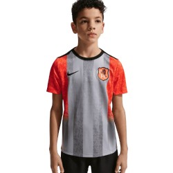 Niño Chelsea 2025/26 Tercera Camiseta Pre-Partido Gris
