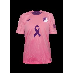 Camiseta especial Cáncer de Mama TSG Hoffenheim 2025/26 para hombre