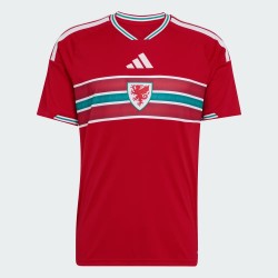 Camiseta local de la Copa del Mundo 2026 de Gales para hombre