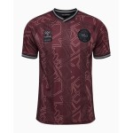 Camiseta especial 2024 de Dinamarca para niño