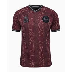 Camiseta especial 2024 de Dinamarca para hombre