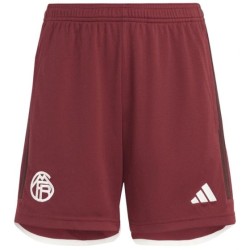 Pantalones cortos Third Bayern Munich 2023/24 para hombre
