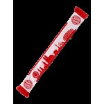 Bufanda Skyline Bayern Munich Bufanda Skyline Bayern Munich