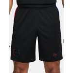 Pantalones cortos de visitante de hombre FC Barcelona 2024/25 Pantalones cortos de visitante de hombre FC Barcelona 2024/25