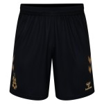 Pantalones Cortos Terceros de Coventry City 2024/25 para Hombres