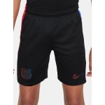 Pantalones cortos de visitante de niño FC Barcelona 2024/25 Pantalones cortos de visitante de niño FC Barcelona 2024/25