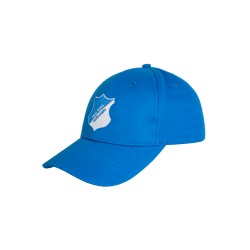 TSG Hoffenheim Gorro Logo