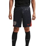 Pantalón Corto de la Copa Mundial 2026 de Inglaterra Segunda Equipación para Hombre Pantalón Corto de la Copa Mundial 2026 de Inglaterra Segunda Equipación para Hombre