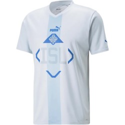 Islandia Camiseta de Visita Mundial 2022