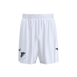 Pantalones cortos tercera hombre TSG Hoffenheim 2025/26
