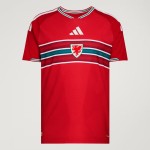 Camiseta local auténtica de la Copa del Mundo 2026 de Gales para niño