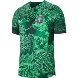 Nigeria Camiseta de Local Mundial 2022 Nigeria Camiseta de Local Mundial 2022