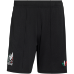 Pantalones Cortos Mundial Tercera México 2026 para Hombre